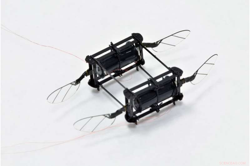 RoboBee: Soft‑Muscle Powered Microbot Delivers Agile, Collision‑Resistant Flight