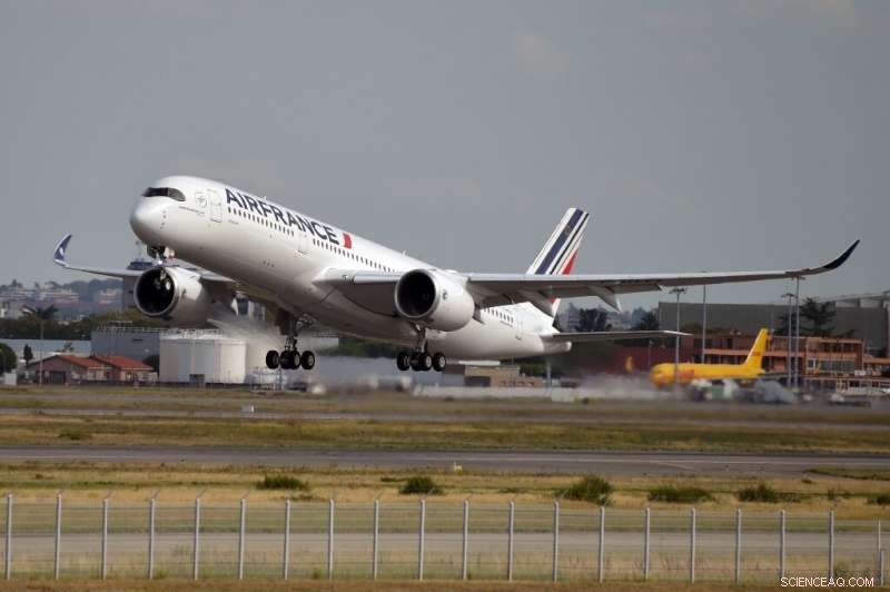 Air France CEO Urges Focus on Domestic Market to Weather Competition