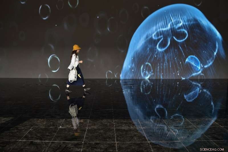 Rising Social Media Surveillance and Disinformation Threaten Democracy, Human Rights Group Warns