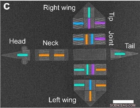 Advancing Intelligent Microrobots: From Nanoscale Magnets to Bird‑Shaped Actuators