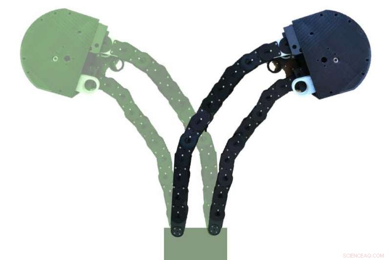 Programmable Growing Robot: Flexible, Strong, and Plant‑Inspired Design