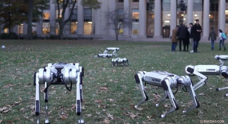 MIT s Mini Cheetah Robots Showcase Soccer Skills in a Fall Showdown