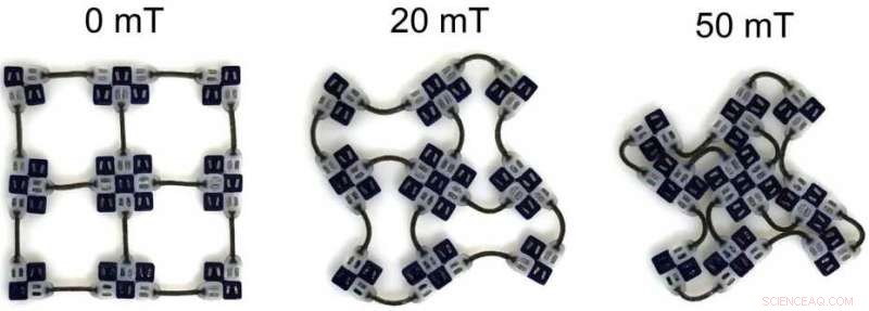 Cube‑Shaped Magnetic Building Blocks for Advanced Soft Robotics Applications