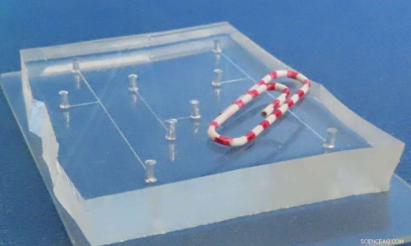 Researchers Introduce Built‑in Controls to Miniaturized On‑Chip Chemical Labs