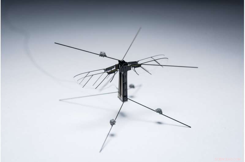 Unified Control Strategy for Micro-Scale Flying Robotic Insects