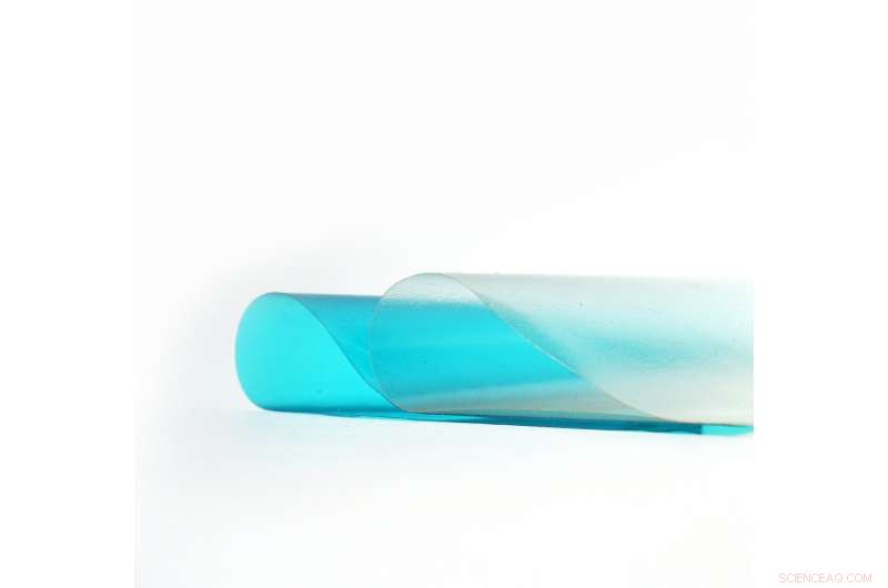 Award-Winning Marine Bioplastic Made from Fish Waste and Red Algae