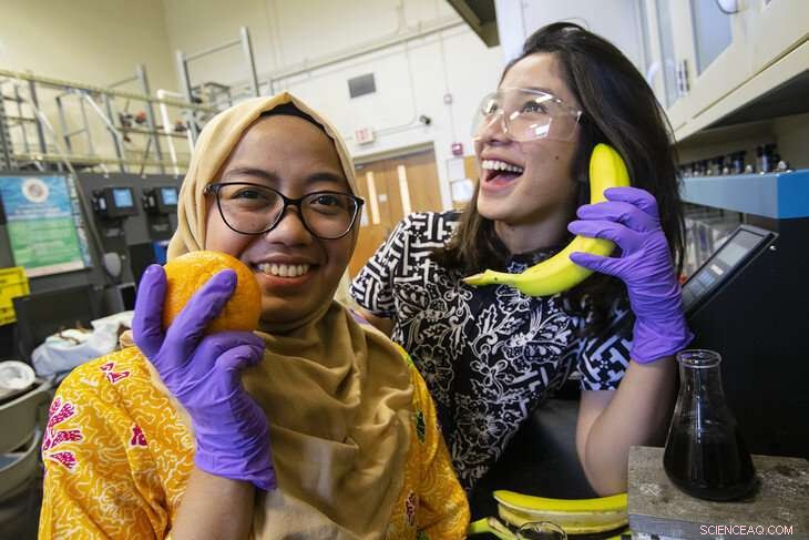 Can Banana Peels Offer a Sustainable Solution to Industrial Pollution?