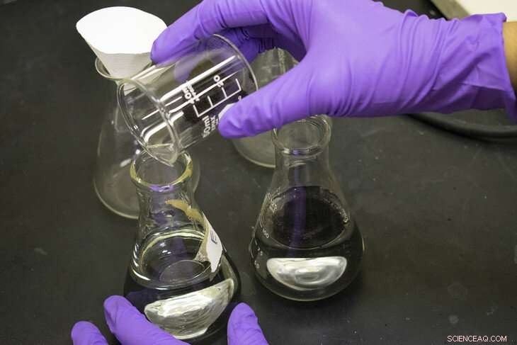 Can Banana Peels Offer a Sustainable Solution to Industrial Pollution?