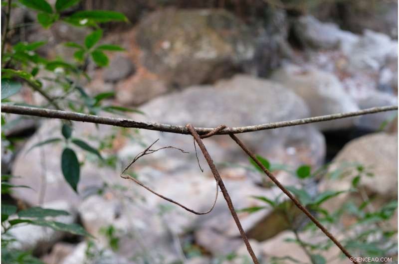 Leveraging Traditional Indian Construction Methods to Enhance Climate Resilience in Modern Cities