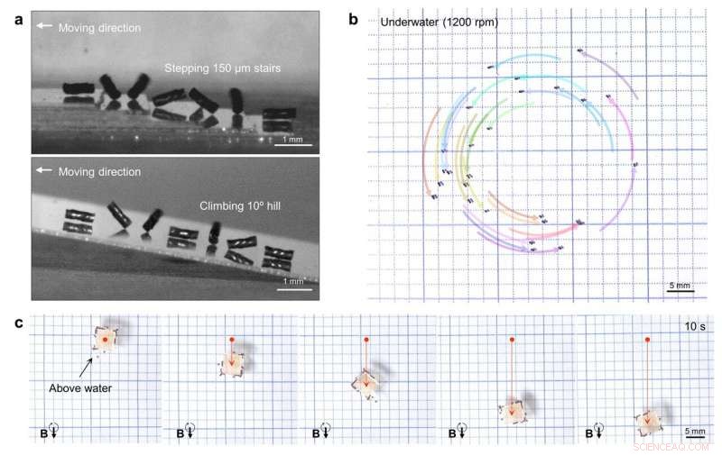 Helical Magnetic Soft Robots Reveal Insights into Collective Behavior