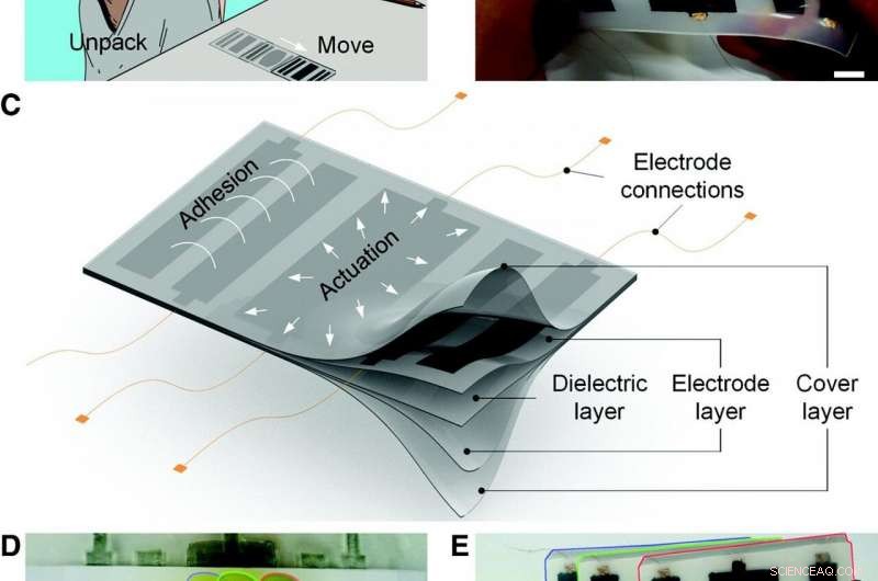 Pocket‑Sized Soft‑Skin Robots: Compact, Smart, Deployable