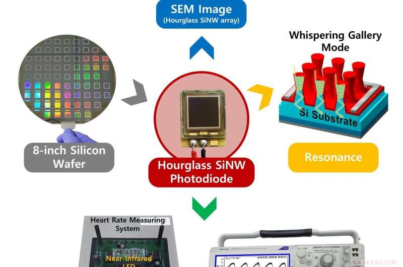 Hourglass‑Shaped Silicon Photodiodes Deliver Superior Near‑Infrared Detection