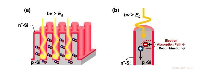 Hourglass‑Shaped Silicon Photodiodes Deliver Superior Near‑Infrared Detection