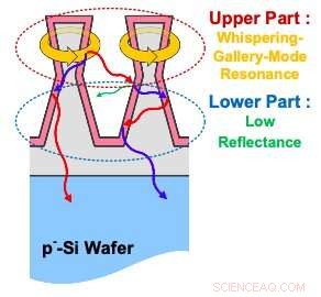 Hourglass‑Shaped Silicon Photodiodes Deliver Superior Near‑Infrared Detection