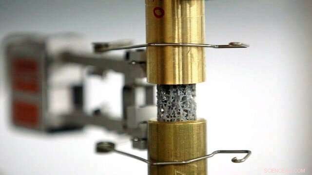 Bone-Inspired Design Could Double Airplane Wing Durability