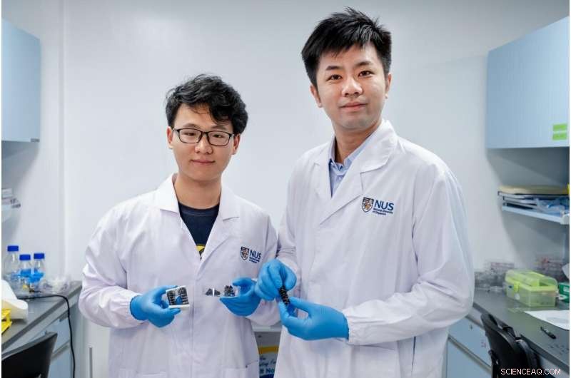 NUS Researchers Develop Innovative Metallic Material to Enhance Flexibility in Soft Robots