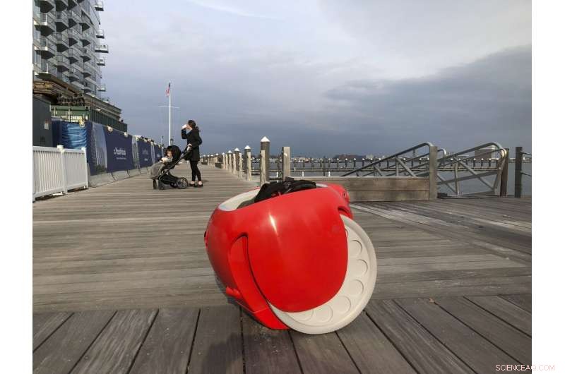 Are Grocery-Carrying Robots Worth the Investment?