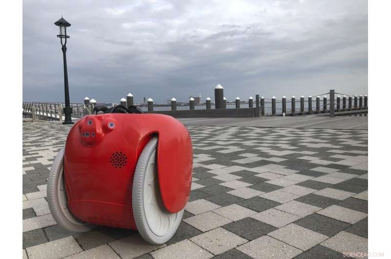 Are Grocery-Carrying Robots Worth the Investment?