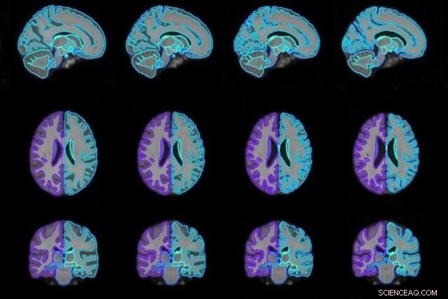 Enhancing Medical Image Analysis with Advanced Guideline Generation