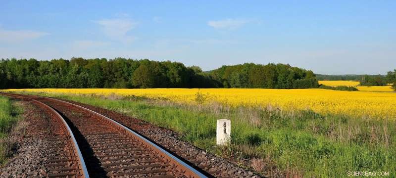 Revolutionary Ethanol Conversion Cuts Greenhouse Gas Emissions by 40–96%