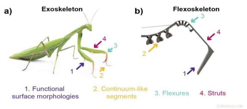 Flexoskeleton Printing: Advanced Fabrication of Flexible Exoskeletons for Insect-Inspired Robotics