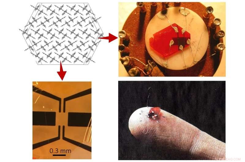 Bending Rubrene Crystals Doubles Current Flow in Organic Transistors