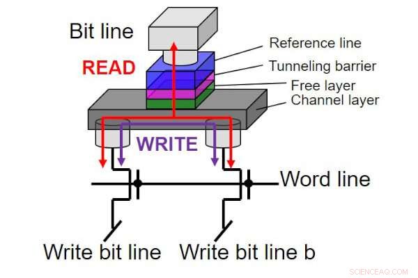Tōhoku University Demonstrates High-Speed SOT-MRAM Compatible with 300 mm Silicon CMOS
