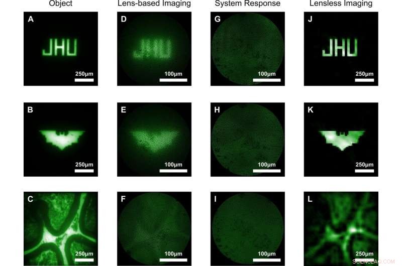 Ultra‑Miniaturized, Lens‑Free Microendoscope Delivers Superior, Less‑Invasive Imaging