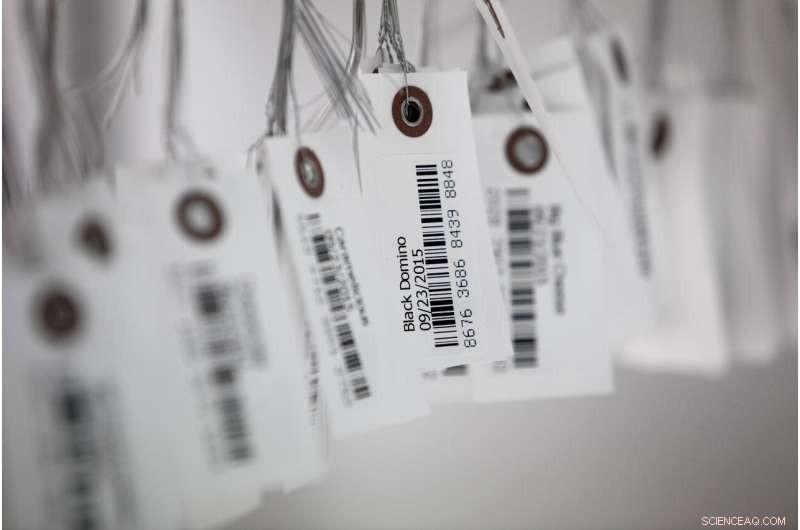 George Laurer, the Visionary Behind the UPC, Dies at 94