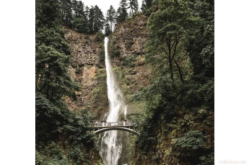 Safeguarding Bridges in Major Earthquakes: Proven Protection Strategies