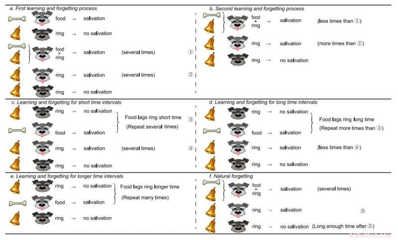 Introducing a Memristor-Based Neural Network Leveraging Associative Memory