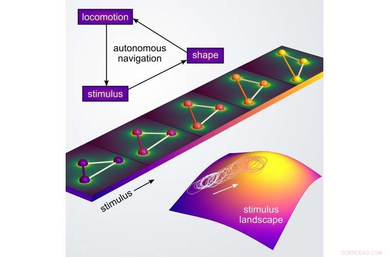 Self-Driving Microrobots: Pioneering Autonomous Navigation