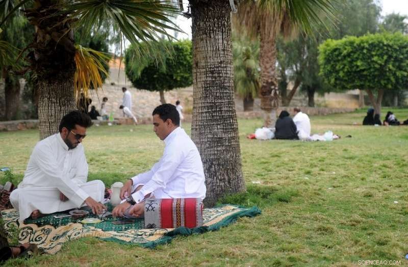 Gulf States Invest in Desalination to Secure Water Amid Scarcity