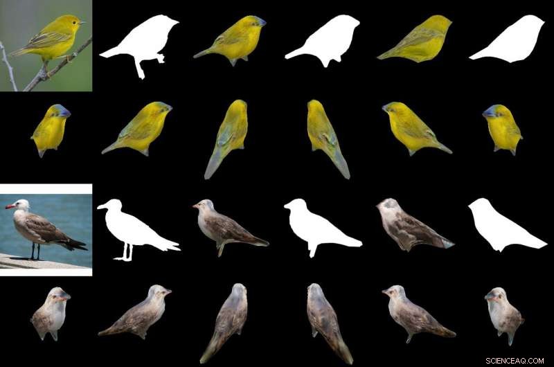 Nvidia Accelerates 3‑D Model Generation from 2‑D Images with New Encoder‑Decoder AI