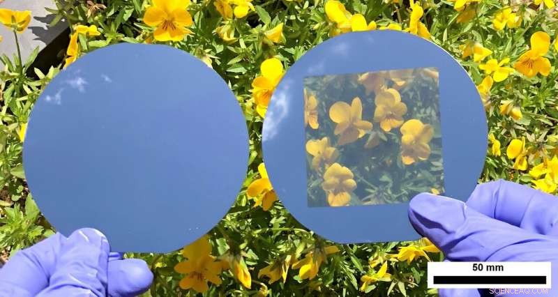 Revealed: Micropore Technology Makes Opaque Solar Panels Transparent