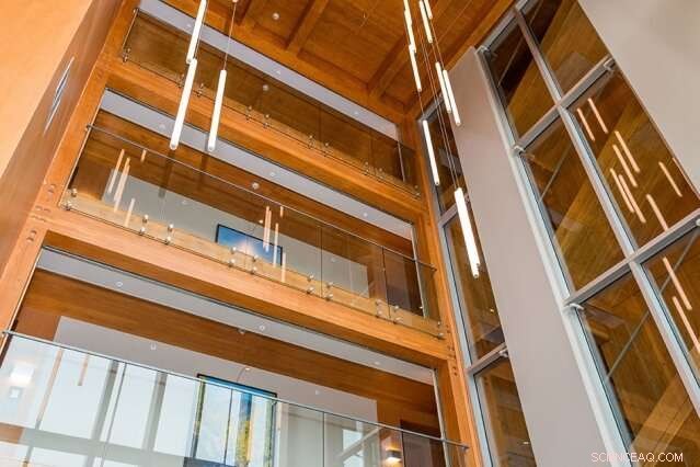 Revolutionizing Construction: How Engineered Wood Cuts Carbon Emissions