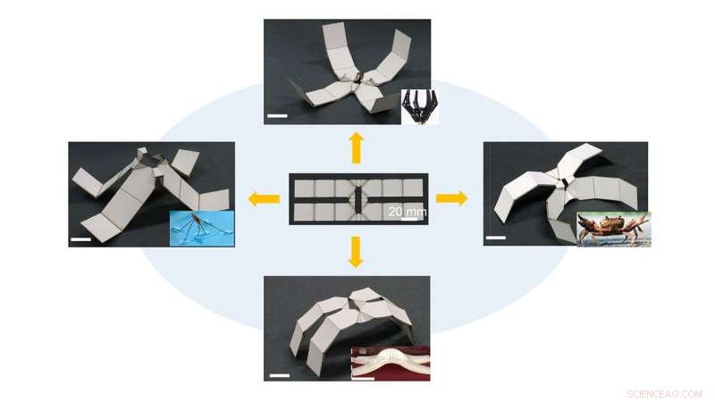 Scientists Build Self‑Folding Kirigami Robots with Responsive Materials