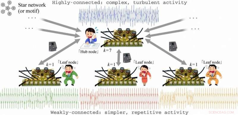 How Connectivity Drives Complex Dynamics in Diverse Networks