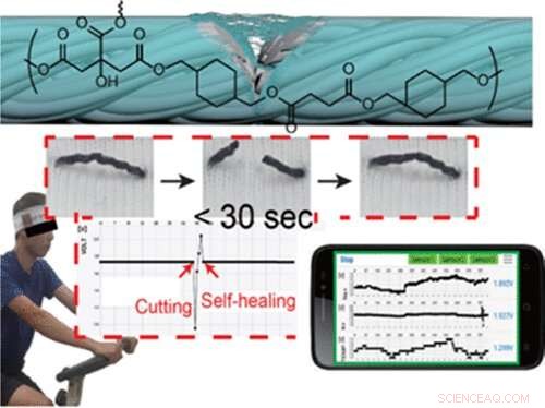Self-Healing Sweat Sensor Revolutionizes Wearable Health Tracking