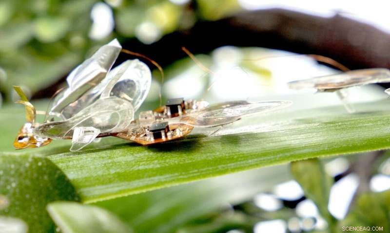 Soft Robotic Insect Designed to Withstand Fly Swatter Impact