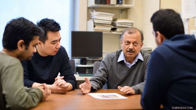 AI Growth & Pruning Mimics Brain Development, Cutting Energy Use