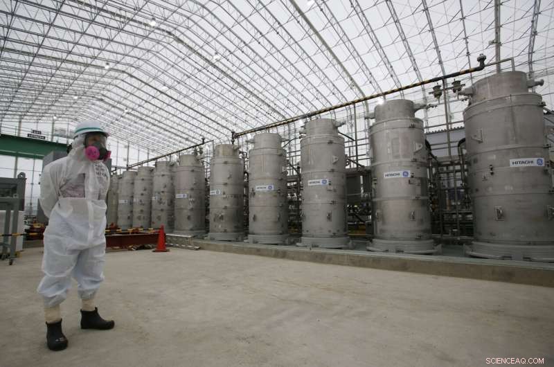 Japanese Government Considers Safe Release of Treated Fukushima Water into Ocean or Atmosphere