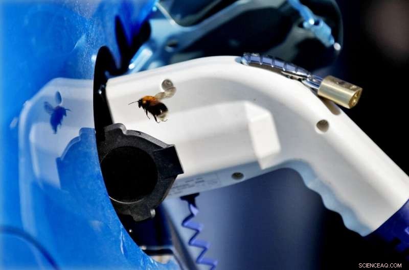 Norway Sets Record for Electric Car Sales, 42% Market Share