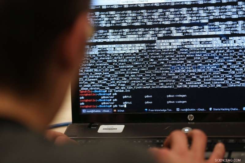 Austrian Foreign Ministry Warns of Serious Cyber Attack, Possible State Actor Involvement
