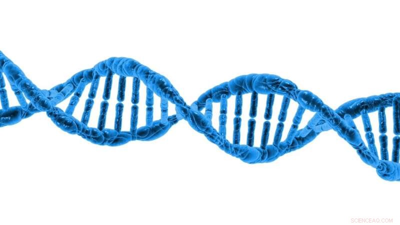 DNA Computing Advances: Research Shows Continued Gains