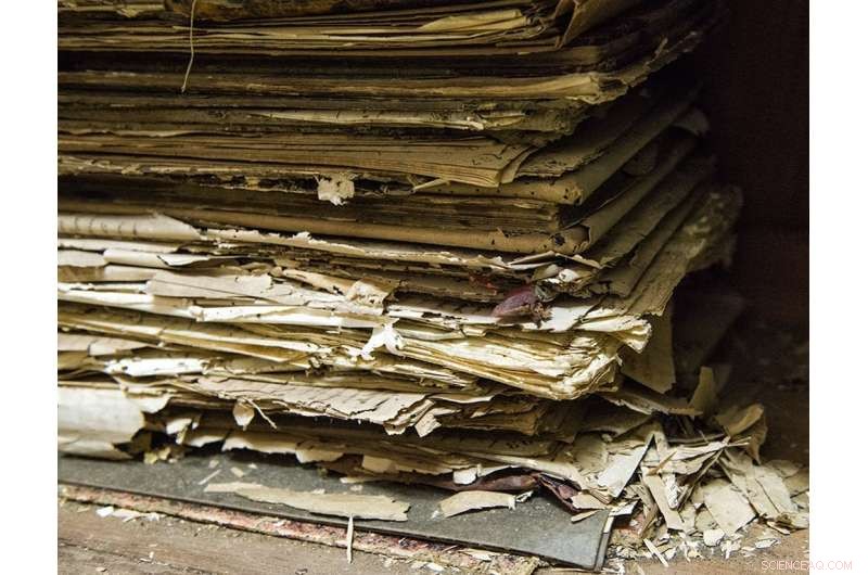 Preserving History: Creating a Digital Archive for Decaying Paper Documents