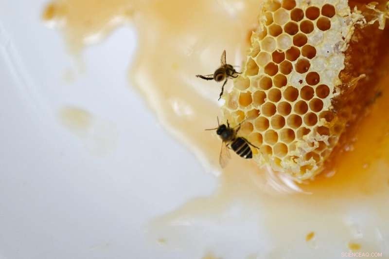 How Chinese Farmers Are Turning Video Apps Into Profit Powerhouses