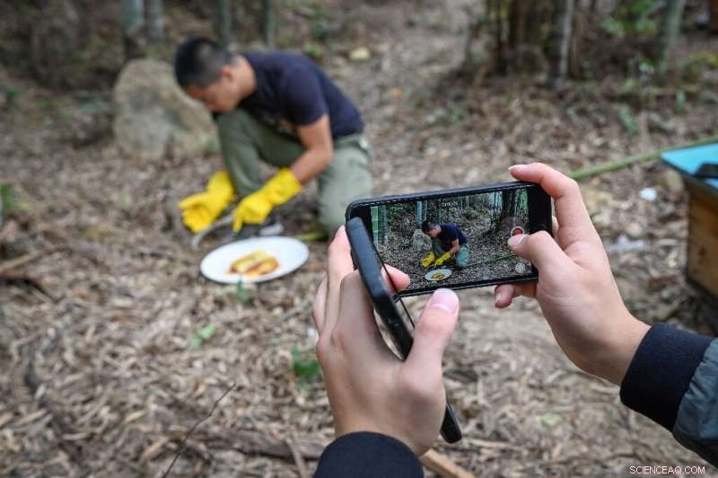 How Chinese Farmers Are Turning Video Apps Into Profit Powerhouses