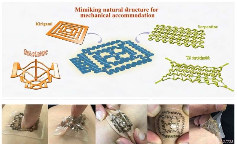 Real‑Time Wearable Sensor for Continuous Human Health Monitoring