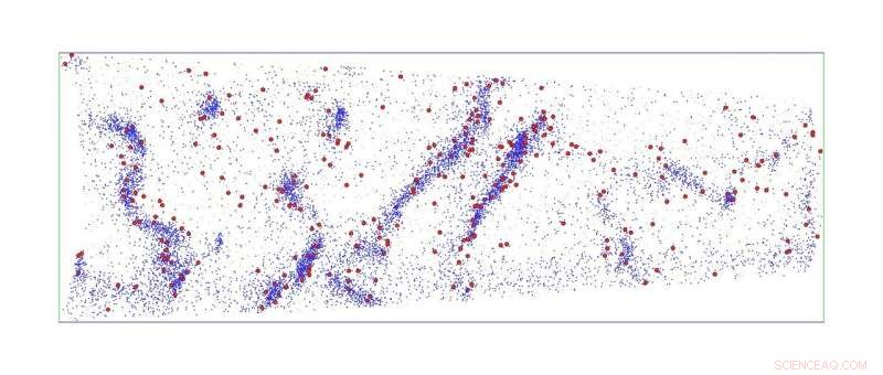 Building the Hydrogen Economy: Insights and Strategies